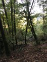 2018-09-20 11-09-58 Rando Combas